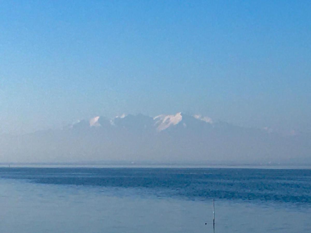 Paradis Bleu Vue Mer, Direct